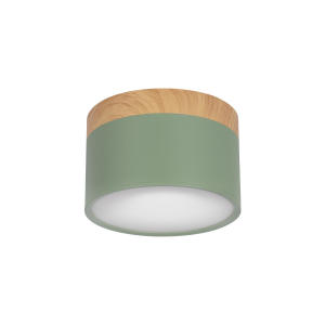 Накладной светильник Grape 10162 Green