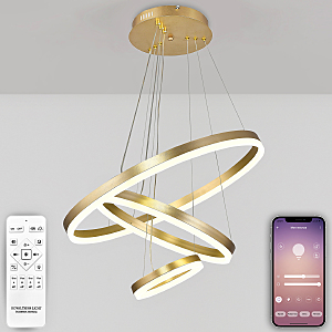 Подвесная люстра Oreol LED LAMPS 81279