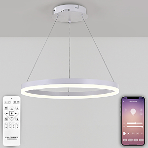 Подвесная люстра Oreol LED LAMPS 81294