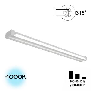 Настенный светильник Визор CL708290N