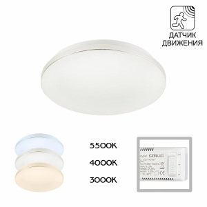 Светильник потолочный Симпла CL71424SV