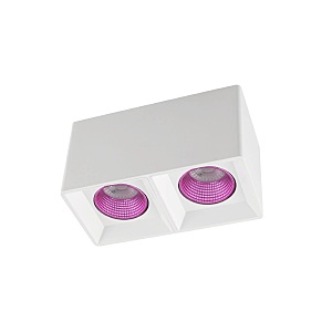 Накладной светильник DK3085 DK3085-WH+PI