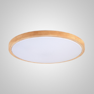 Светильник потолочный Disc-W01 240932-26