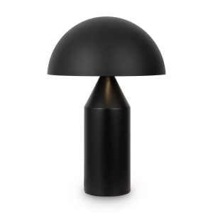 Настольная лампа Eleon FR5218TL-02B1