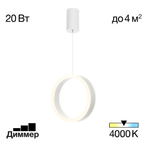 Светильник подвесной Дуэт CL719000