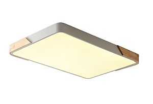 Светильник потолочный Alberro ZRS.01233.60