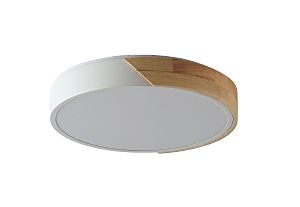 Светильник потолочный Alberro ZRS.01289.48