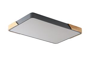 Светильник потолочный Alberro ZRS.01277.60