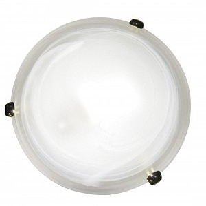 Настенно потолочный светильник Arte Lamp LUNA A3440PL-2GO