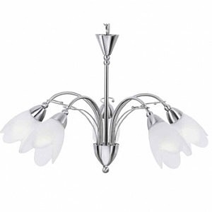 Подвесная люстра Arte Lamp MOTEL A4900PL-5SS