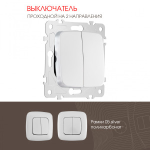 Выключатель Am-205 205.32-2.silver