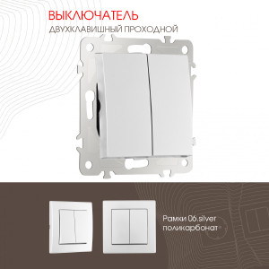 Выключатель Am-206 206.32-2.silver