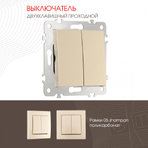 Выключатель Am-206 206.32-2.shampan