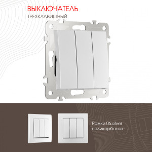 Выключатель Am-206 206.30-3.silver