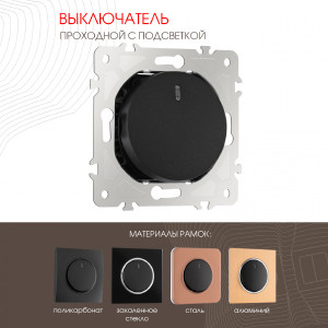 Выключатель Am-202 202.33-1.black
