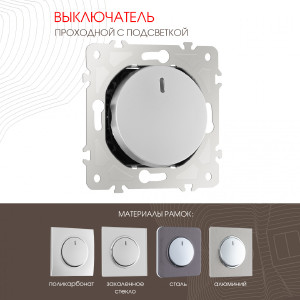 Выключатель Am-202 202.33-1.silver