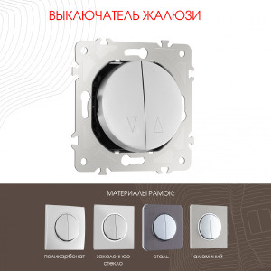 Выключатель Am-202 202.38-2.silver