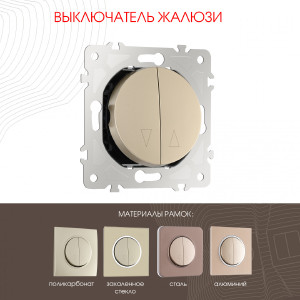Выключатель Am-202 202.38-2.shampan