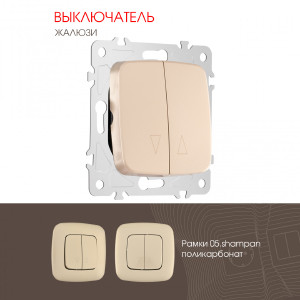 Выключатель Am-205 205.38-2.shampan