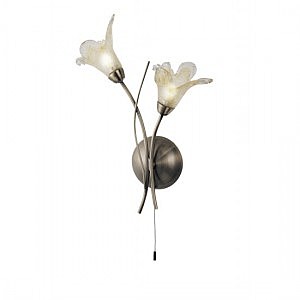 Настенное бра Arte Lamp A5494AP-2AB