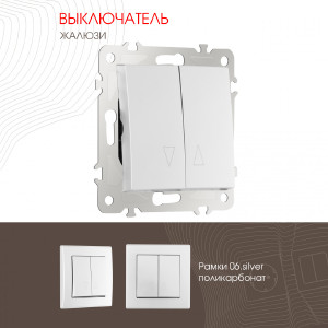 Выключатель Am-206 206.38-2.silver