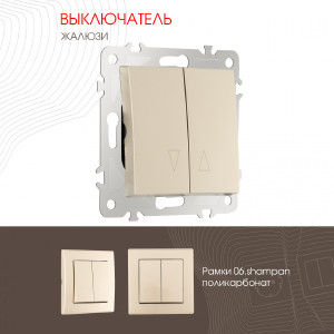 Выключатель Am-206 206.38-2.shampan