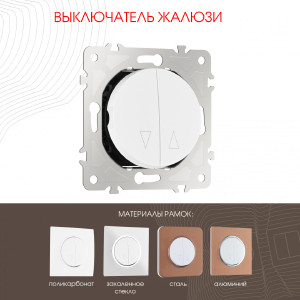 Выключатель Am-202 202.38-2.white