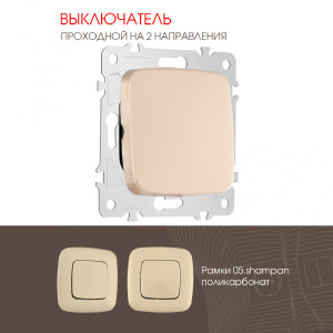 Выключатель Am-205 205.32-1.shampan