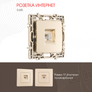 Розетка Am-217 217.45-1.shampan