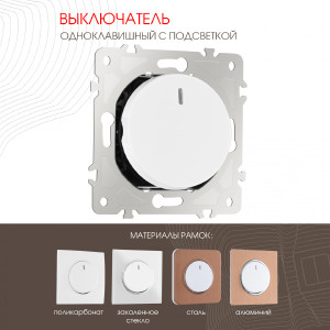 Выключатель Am-202 202.31-1.white