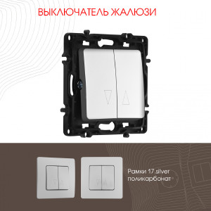 Выключатель Am-217 217.38-2.silver
