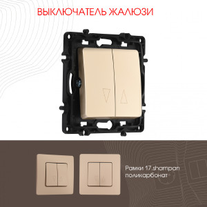 Выключатель Am-217 217.38-2.shampan