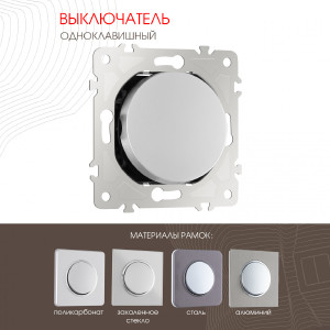 Выключатель Am-202 202.30-1.silver