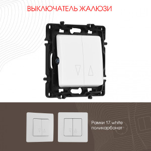 Выключатель Am-217 217.38-2.white