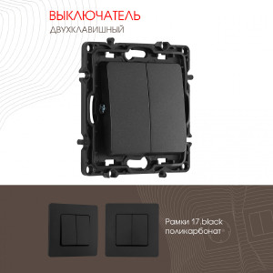 Выключатель Am-217 217.30-2.black