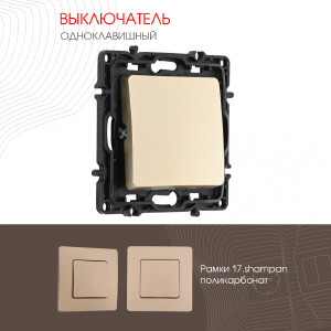 Выключатель Am-217 217.30-1.shampan
