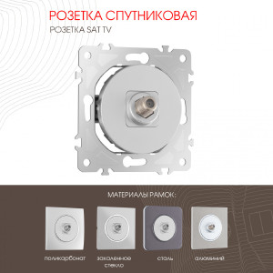 Розетка Am-202 202.42-1.silver