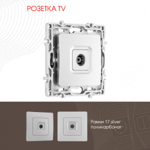Розетка Am-217 217.43-1.silver