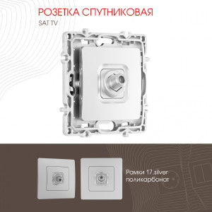 Розетка Am-217 217.42-1.silver