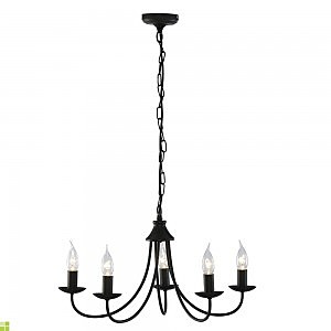 Подвесная люстра Arte Lamp TAMARA A6310LM-5BK