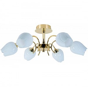 Потолочная люстра Arte Lamp A8292PL-6PB