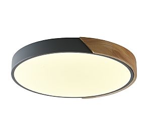 Светильник потолочный Alberro ZRS.01280.48