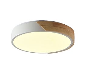 Светильник потолочный Alberro ZRS.01289.36