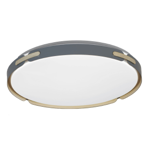 Светильник потолочный Paneli LDC 8063-48W BL