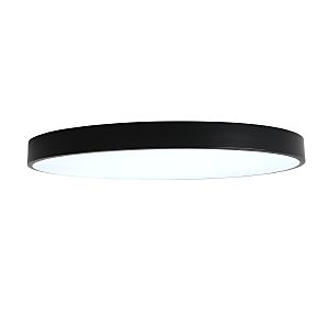 Светильник потолочный Tortty ZRS.02563.120