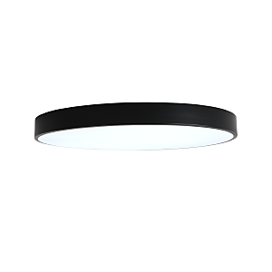 Светильник потолочный Tortty ZRS.02563.96