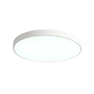 Светильник потолочный Tortty ZRS.02564.120