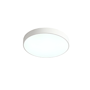 Светильник потолочный Tortty ZRS.02564.48