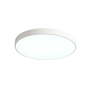 Светильник потолочный Tortty ZRS.02564.96