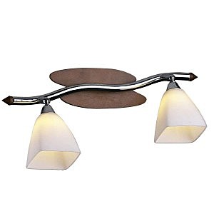 Светильник спот Odeon Light 1976/2W
